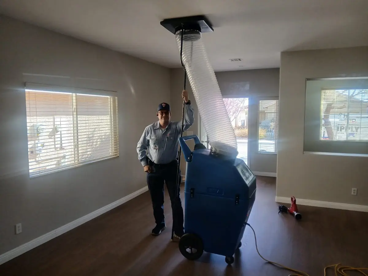 Professional Dryer Vent Cleaning work inside a Albion home